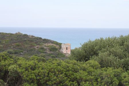 sardegna-20110615-020.jpg