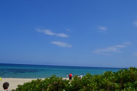sardegna-20110615-033.jpg