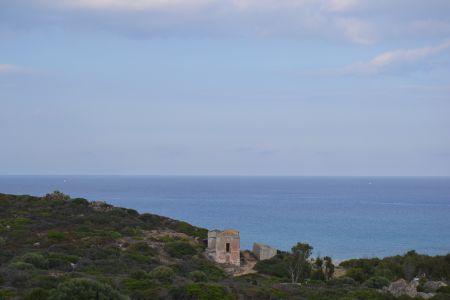 sardegna-20110615-080.jpg