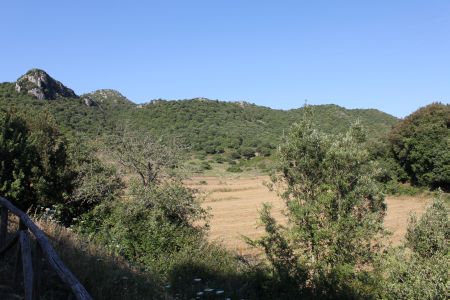 sardegna-20110616-057.jpg