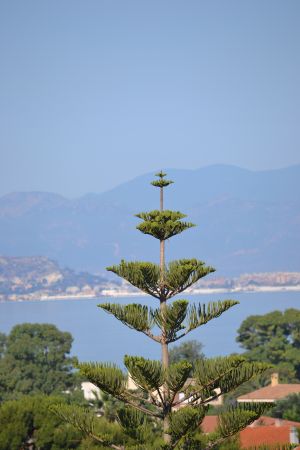 sardegna-20110617-021.jpg
