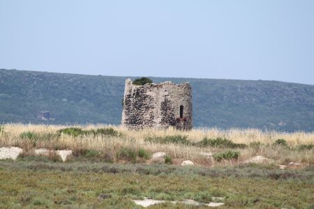 sardegna-20110618-030.jpg